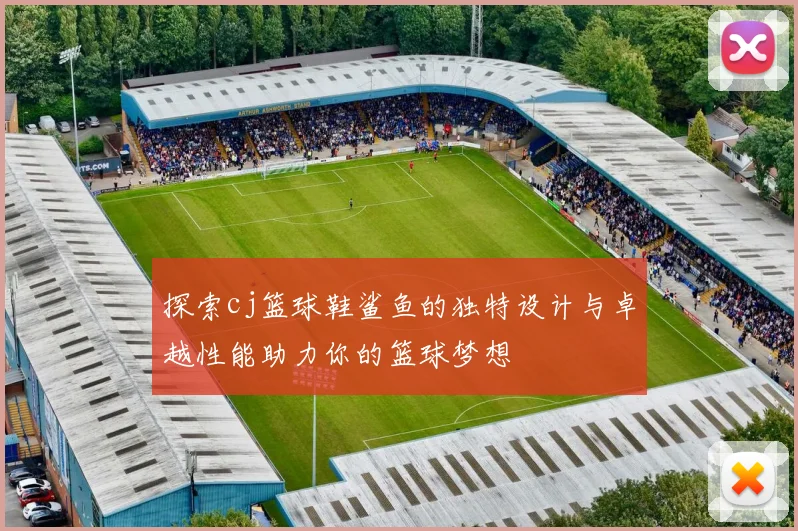 探索cj篮球鞋鲨鱼的独特设计与卓越性能助力你的篮球梦想