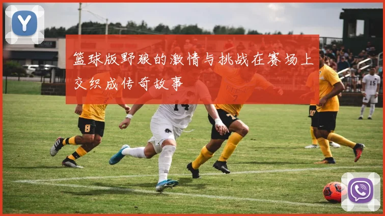 篮球版野狼的激情与挑战在赛场上交织成传奇故事