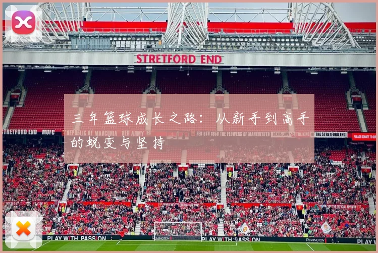 三年篮球成长之路：从新手到高手的蜕变与坚持